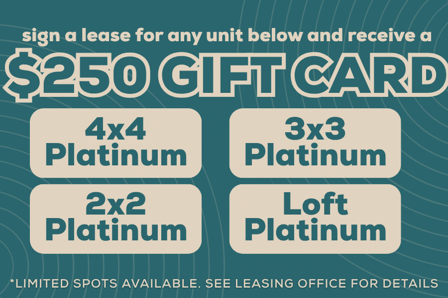 $250 gift card popup